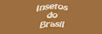 Coleção Insetos do Brasil